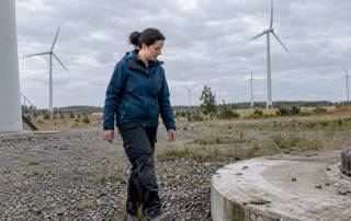 Vorhandener Windpark bei der Standortbewertung